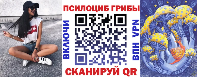 даркнет сайт  Заозёрск  блэк спрут вход  сайты даркнета клад  Галлюциногенные грибы Cubensis 